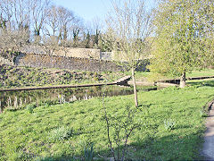 
Combe Hay between locks 5 and 6, March 2022