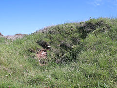 
Limekiln below the Coastguard Cottages on the Ilfracombe to Combe Martin road, SS 5430 4840, June 2021