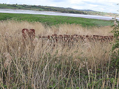 Barge remains near Severn Bridge Railway tower, Sharpness, April 2018