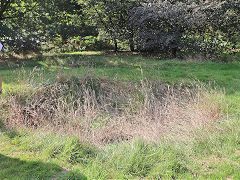 
Possible air shaft, Smitham, August 2024