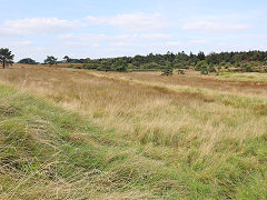 
The tramway from Chewton to the quarry, August 2024