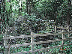
Brookall Ditches Colliery shaft 2, August 2007