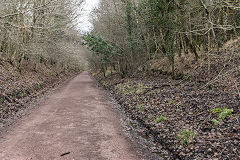 
The Trafalgar Colliery branch to the right, the line to Lydney on the left, Drybrook Road Junction, January 2020
