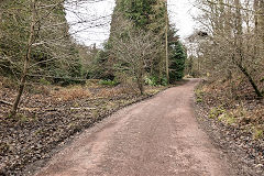 
The Mineral Loop to the right, the Cinderford line on the left, Drybrook Road Junction, January 2020