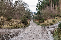 
Foxes Bridge Incline at the mineral loop, January 2020
