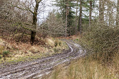 
The Mineral Loop approaching Foxes Bridge from Drybrook Road, January 2020