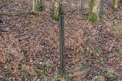 
Iron fencepost near Serridge Junction, January 2020