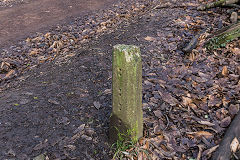 
Base of a concrete post near Serridge Junction, January 2020