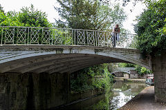 
Sidney Gardens Bridge No '186' of 1800, Bath, June 2015