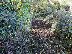 
Cook's Pit incline, Parkfield Rank, October 2024