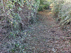 
Cook's Pit incline, Parkfield Rank, October 2024