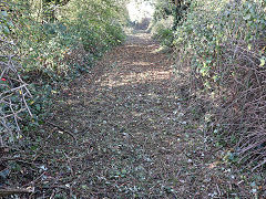 
Cook's Pit incline, Parkfield Rank, October 2024