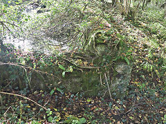 
Parkfield Colliery reservoir, October 2024