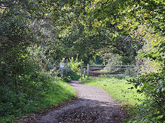 
Along the trackbed, October 2024