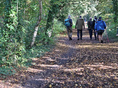 
Along the trackbed, October 2024