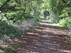 
Along the trackbed, October 2024