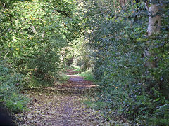 
Along the trackbed, October 2024