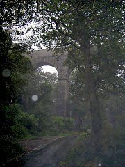 
Treffrys Viaduct in a downpour, Luxulyan, October 2005