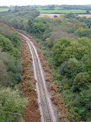 
Newquay branch to the North of Treffrys Viaduct, Luxulyan, October 2005