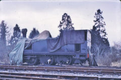 
NLR 2650 at the Bluebell Railway, March 1969