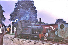 
'The Doll', AB 1641 of 1919, at Bressingham, August 1968