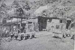 
The cottage with 'Monty' and 'The Major', 1962, © Photo courtesy of 'Brockham Museum News' contributors