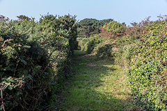 
The railway embankment trackbed, Guernsey, September 2014