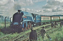 
4498 'Sir Nigel Gresley', Hereford, September 1974