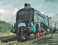 
4498 'Sir Nigel Gresley', Hereford, September 1974