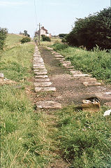 
Brusselton Incline on the SDR, County Durham, August 1975