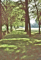 
The tramroad near Kepwick village, Kepwick Railway, North Yorkshire, August 1975