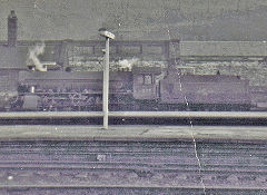 
61039 'Steinbok' at Sheffield Midland Station, South Yorkshire, January 1965