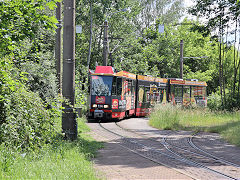 
Cottbus tram '134', May 2024