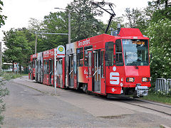 
Cottbus tram '136', May 2024