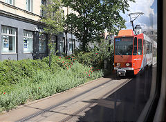 
Cottbus tram '145', May 2024