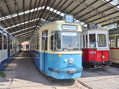 
Munich tram '2420', May 2024