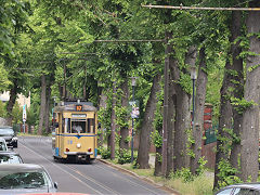 
Tram '28' at Woltersdorf, Germany, May 2024