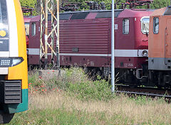 
'143 650' at Frankfurt am der Oder, Germany, May 2024