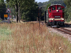 
'199 031' at Nebitzschen on the Dollnitzbahn, September 2024