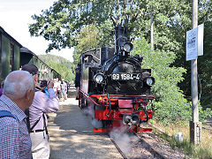 
'99 1584' at Mugeln on the Dollnitzbahn, September 2024