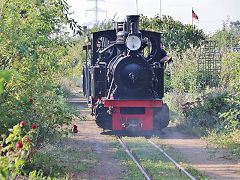 
'16' or '2643' takes us around the circuit at Frankfurt Feldbahn Museum, September 2024