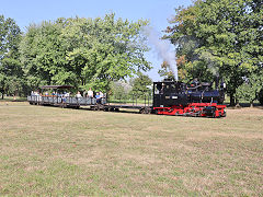 
'16' or '2643' takes us around the circuit at Frankfurt Feldbahn Museum, September 2024