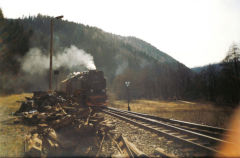 
'99 7231' at Eisfelder Talmuhle, Harz Railway, April 1993