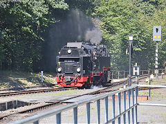 
'99 7232' at Eisfelder Talmuhle, Harz Railway, September 2024