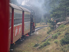 
'99 7241' on the way down the Brocken, Harz Railway, September 2024