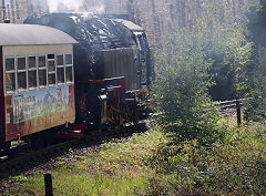 
'99 7241' on the way down the Brocken, Harz Railway, September 2024