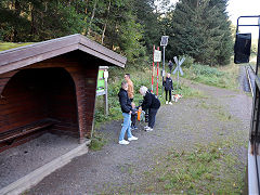 
Sophienhof Halt, Harz Railway, September 2024