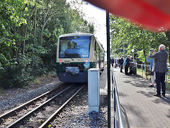 
'650 032' ('650 300') between Bergan and Putbus, September 2024