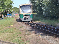 
'650 032' ('650 300') between Bergan and Putbus, September 2024