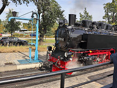 
'99 1781' on the Rugen Railway, September 2024